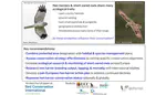 Expert knowledge assessment of threats and conservation strategies for breeding Hen Harrier and Short-eared Owl across Europe